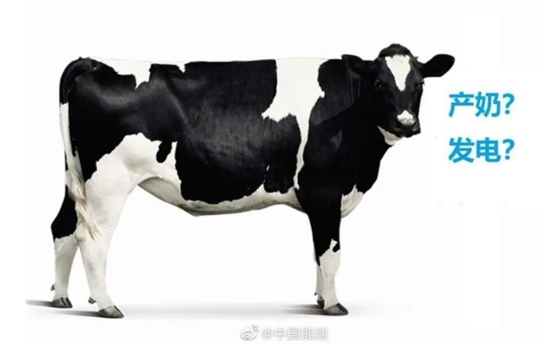 微信截圖_20220430135956